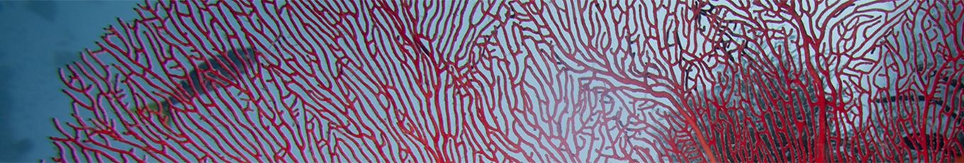 filtervliese-header